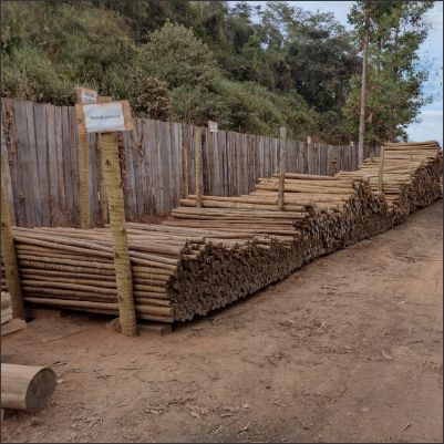 Serraria e Tratado de Madeira Vargem Alegre