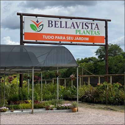 BellaVista Plantas Ltda