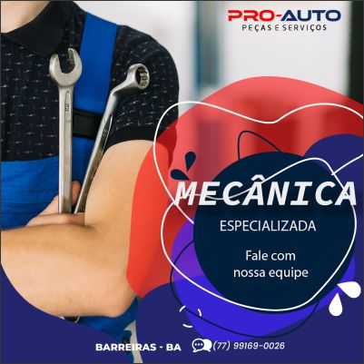 Pro-Auto Peças e Serviços