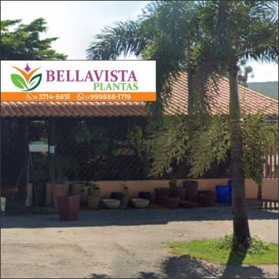 BellaVista Plantas Ltda