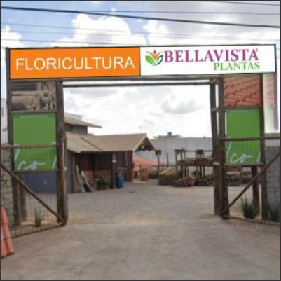 BellaVista Plantas Ltda