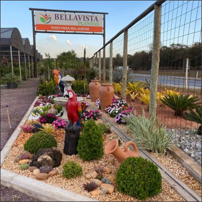 BellaVista Plantas Ltda